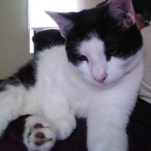 Meet your Posher, Bryce